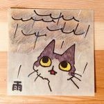 雨の日のねこ